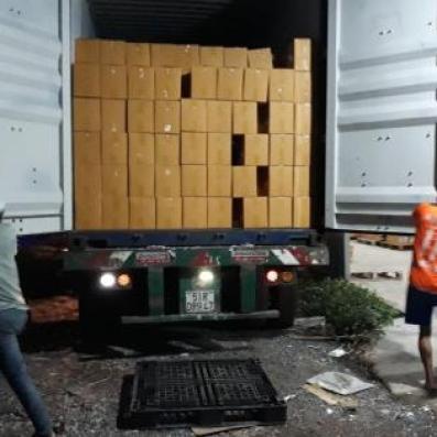 Đội bốc xếp hcm