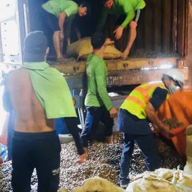 Dịch vụ bốc xếp quận gò vấp