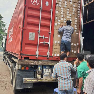 Dịch vụ Bốc Xếp ở Tân Sơn Hòa